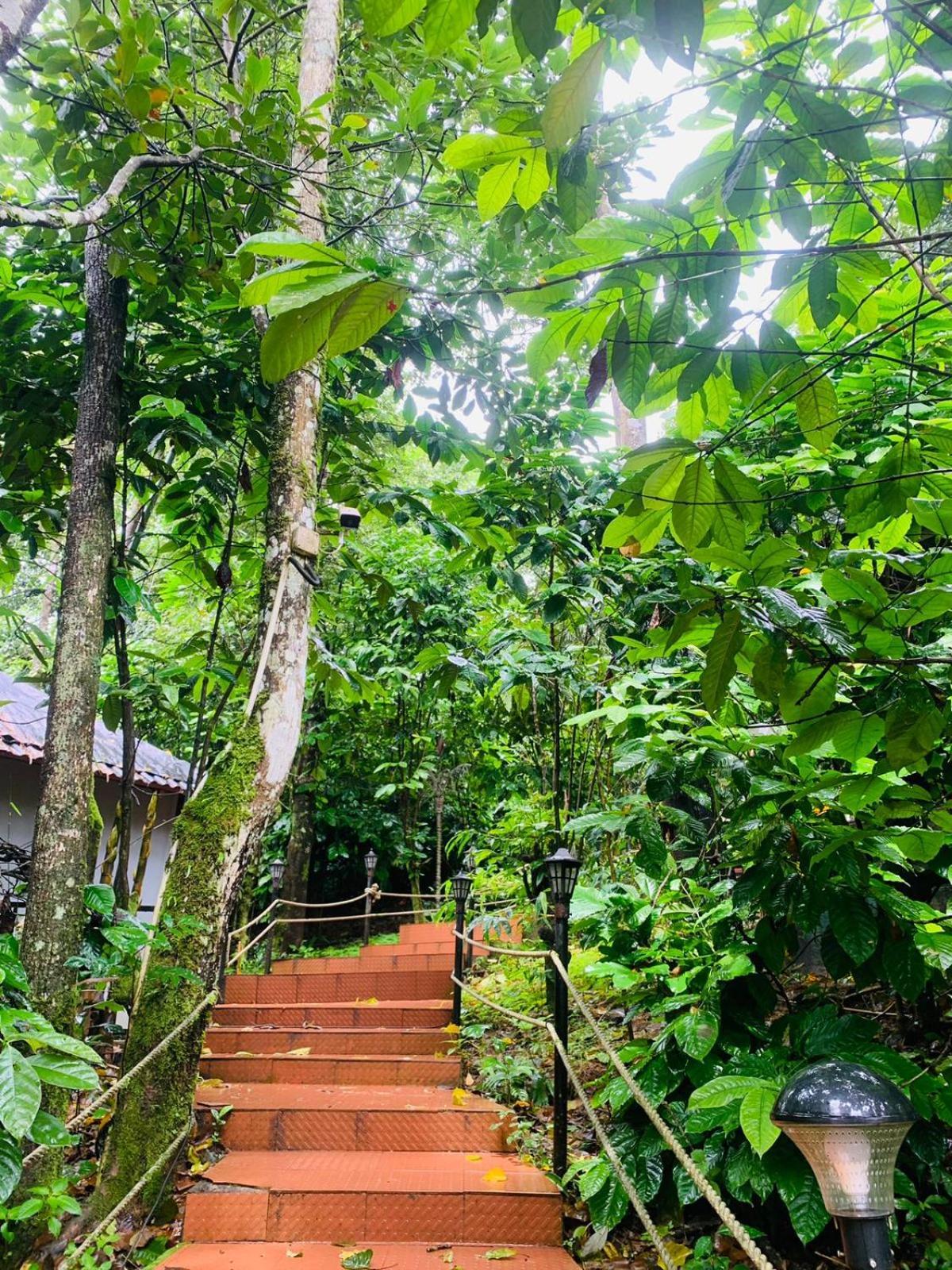 The Mountain Shades Resort 마디케리 외부 사진