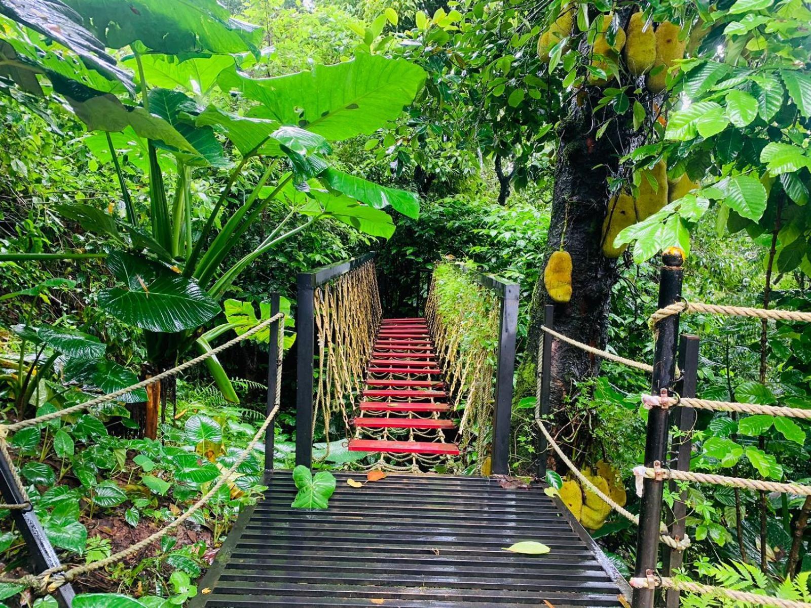 The Mountain Shades Resort 마디케리 외부 사진