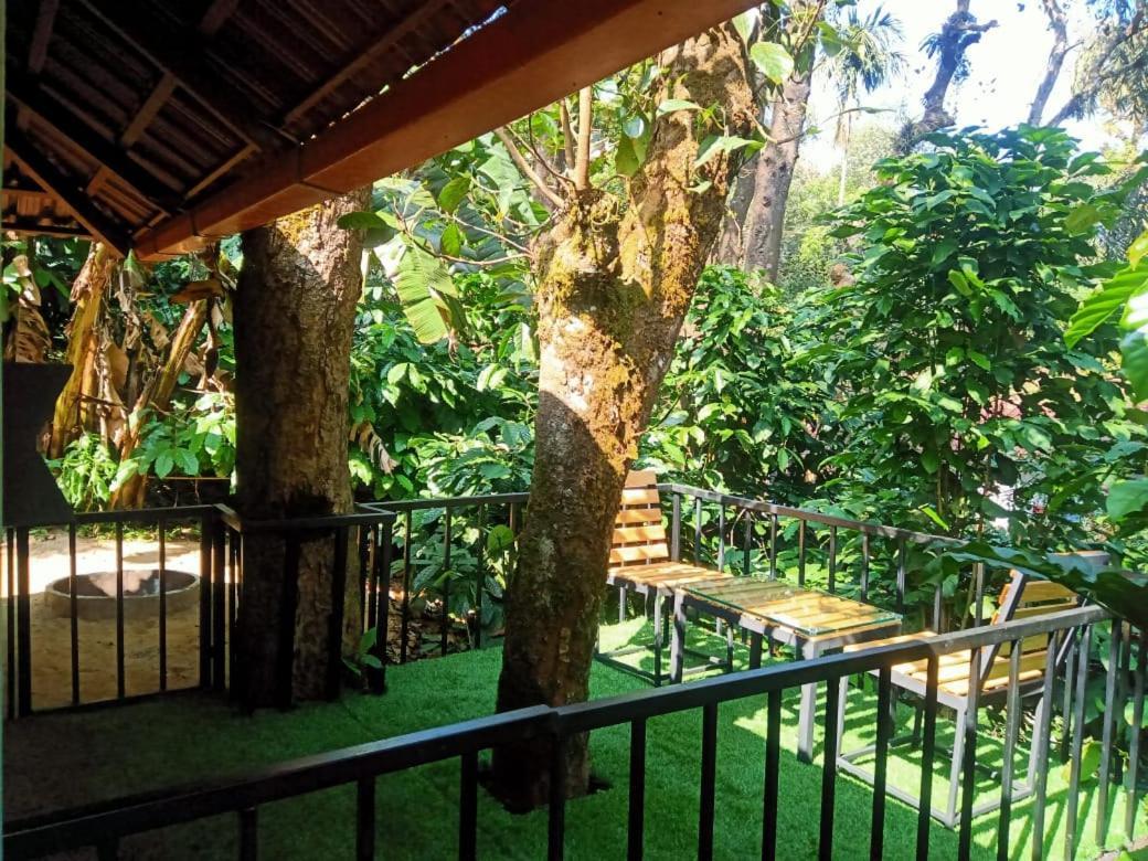 The Mountain Shades Resort 마디케리 외부 사진